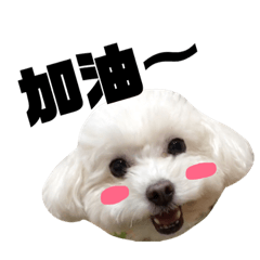 拉拉啦啦啦2.0.1
