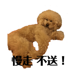 股市 旺旺來