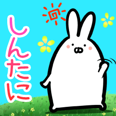 Shintani every day rabbit