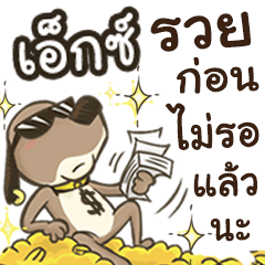 Name X (Cute Dog)