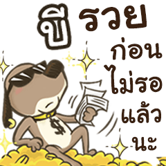 Name B (Cute Dog)