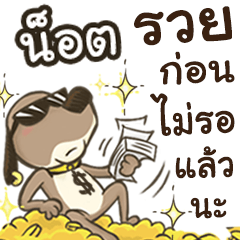 Name Not (Cute Dog)