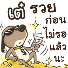 Name TAE (Cute Dog)
