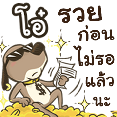 Name OOH (Cute Dog)