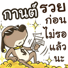 Name KAN (Cute Dog)