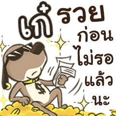 Name kae (Cute Dog)