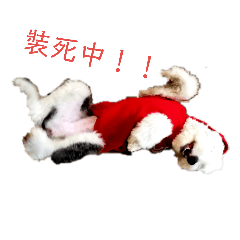 快樂小古代