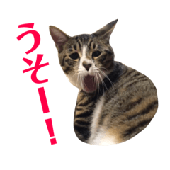 HANA_20190101214001