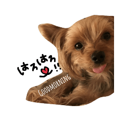 Honey_20190102003145