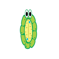 Animated Stomata Line Stickers Line Store