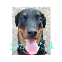 mayu_20181227163806