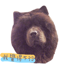 鬆獅黑妹妹2.0
