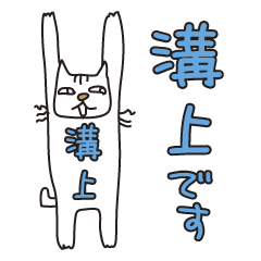Only for Mr. Mizogami Banzai Cat