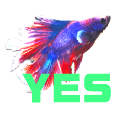 ベタのスタンプ Line スタンプ Line Store