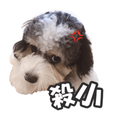 Eddie的貼圖