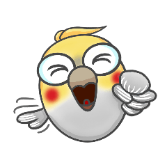 玄鳳鸚鵡灰寶來了