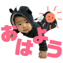 ace_creates