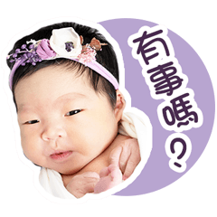 雙圓姐妹花