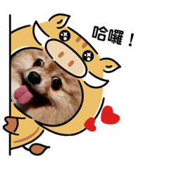 寶貝仔迪迪1