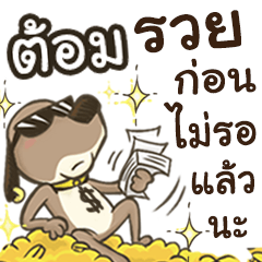 Name Tom (Cute Dog)