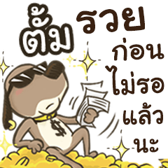 Name Tum (Cute Dog)