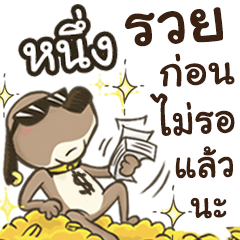 Name Neung (Cute Dog)