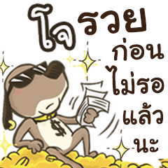 Name Jo (Cute Dog)