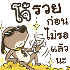 Name Joo (Cute Dog)