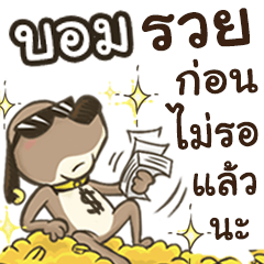 Name Bom (Cute Dog)