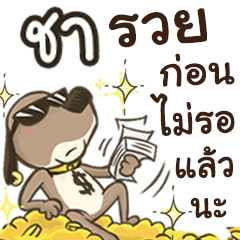 Name Cha (Cute Dog)