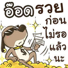Name Aod (Cute Dog)