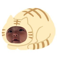 chihiro_20181224190720