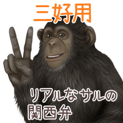 Miyoshi 1 Monkey's real myouji
