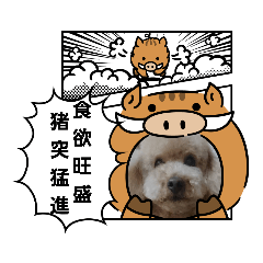 dog_20181230035349