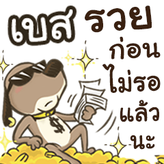 Name Baes (Cute Dog)