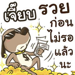 Name Jeab (Cute Dog)
