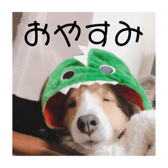 haruru_20181231134221