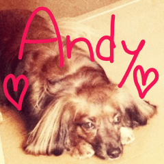 Andy my love