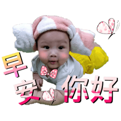 蛋定哥
