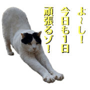 saika.saika_20181231084406