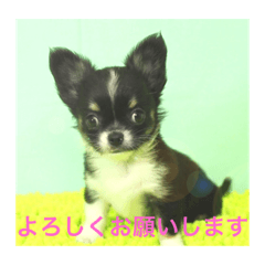 hana_20181230203425