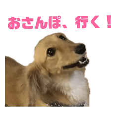 moka_20181231185842