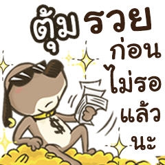 Name Toom (Cute Dog)