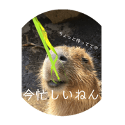 otopa_20181231
