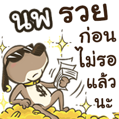 Name Nop (Cute Dog)