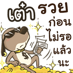 Name Tao (Cute Dog)