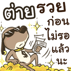 Name Tai (Cute Dog)