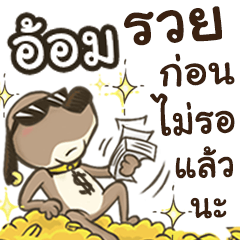 Name Aom (Cute Dog)