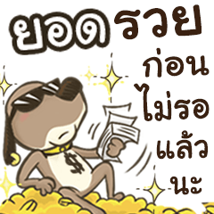 Name Yod (Cute Dog)