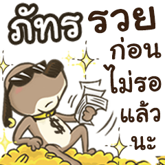 Name Pat (Cute Dog)